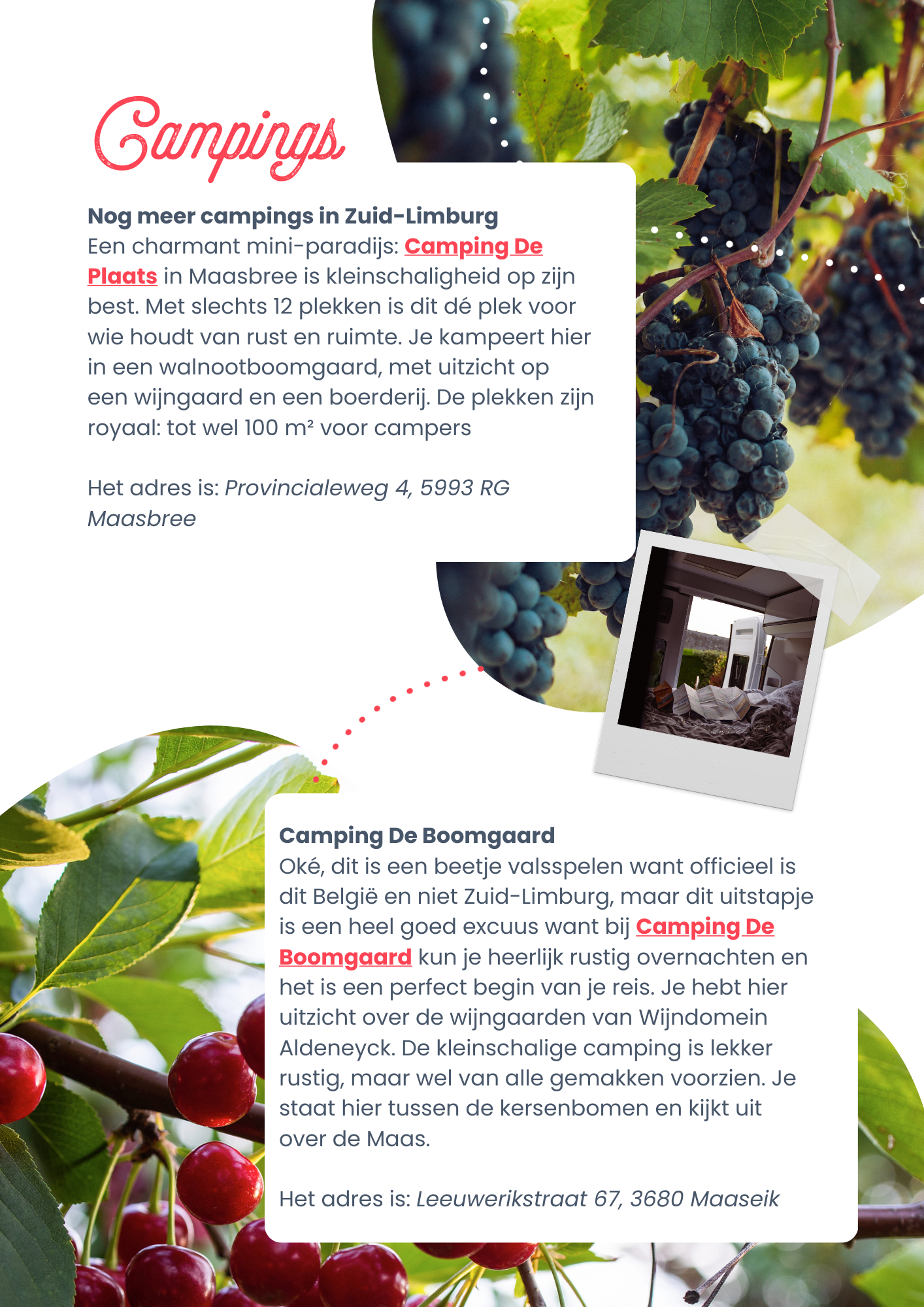 Culinaire camperroute door Frankrijk