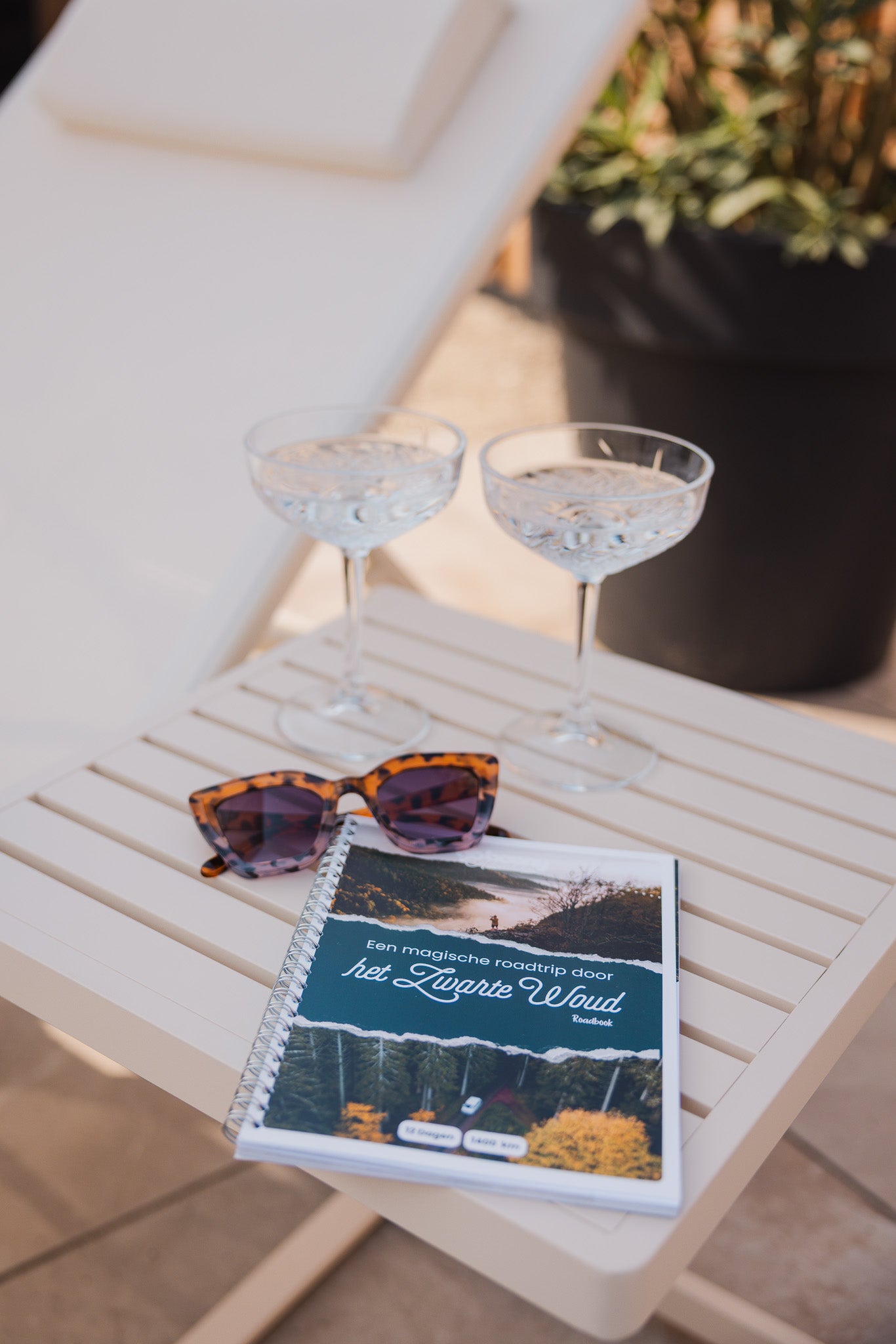 Camperroute Zwarte Woud