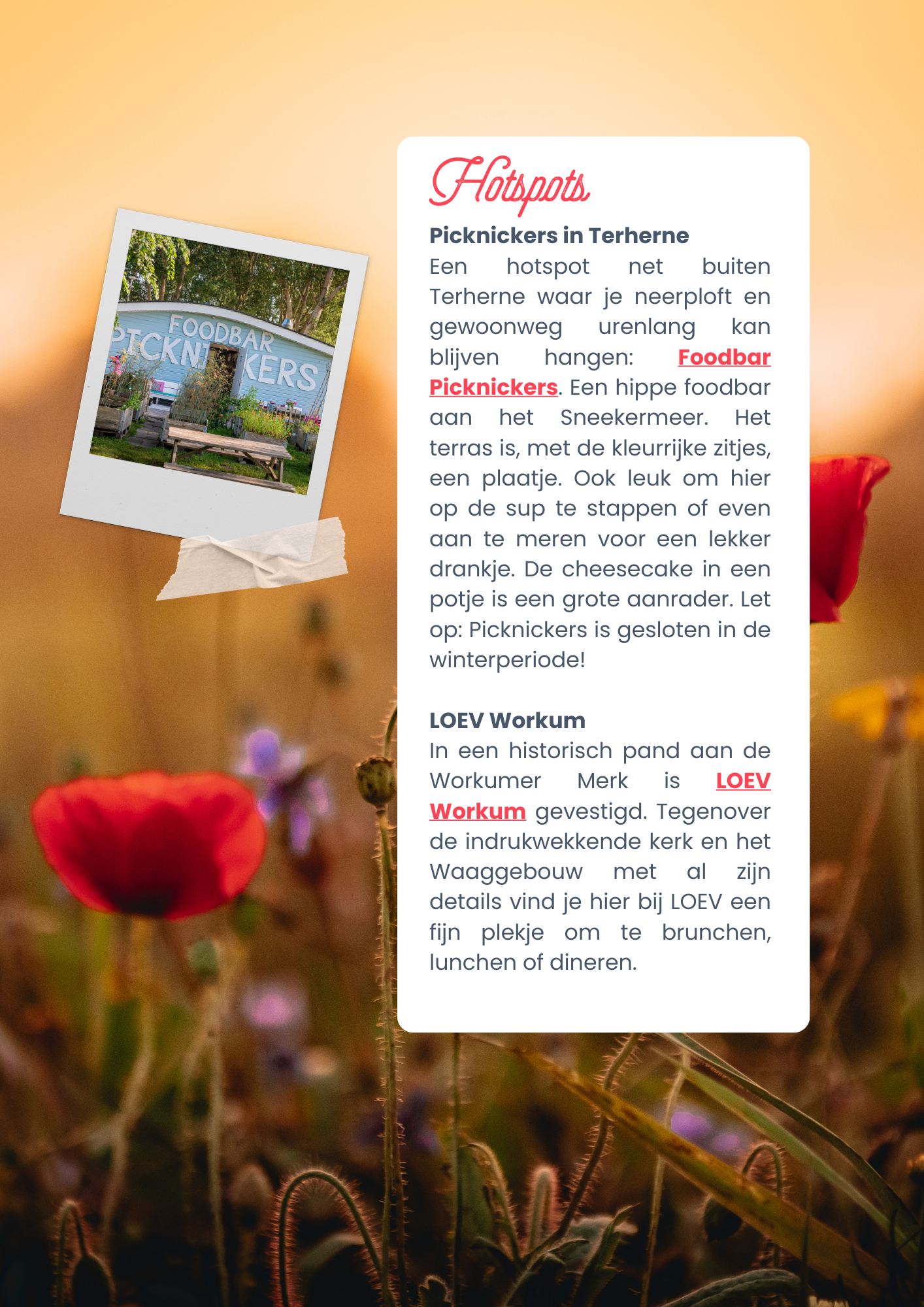 Avontuurlijke camperroute Nederland