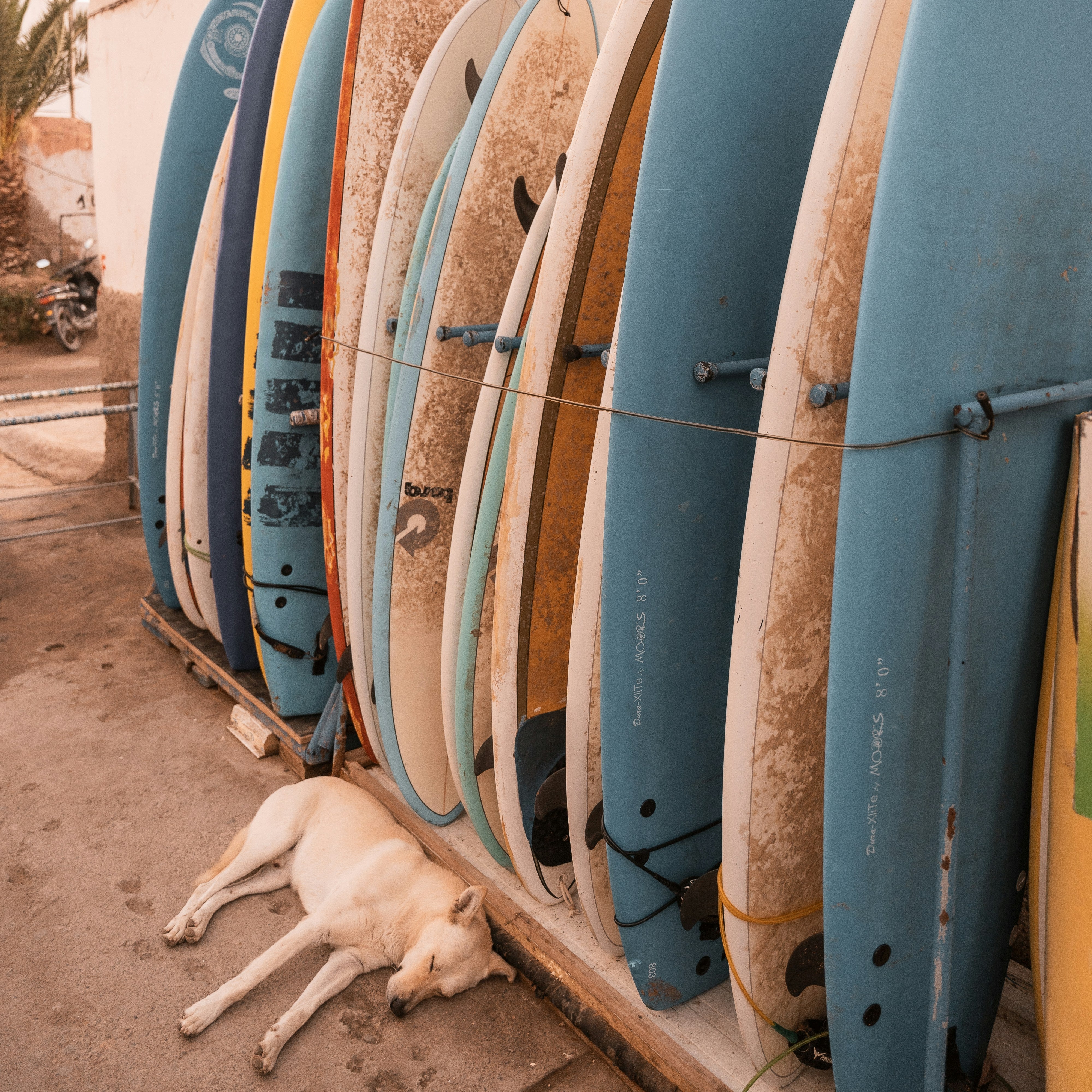 Pre-order: Marokko, een avontuurlijke familie roadtrip