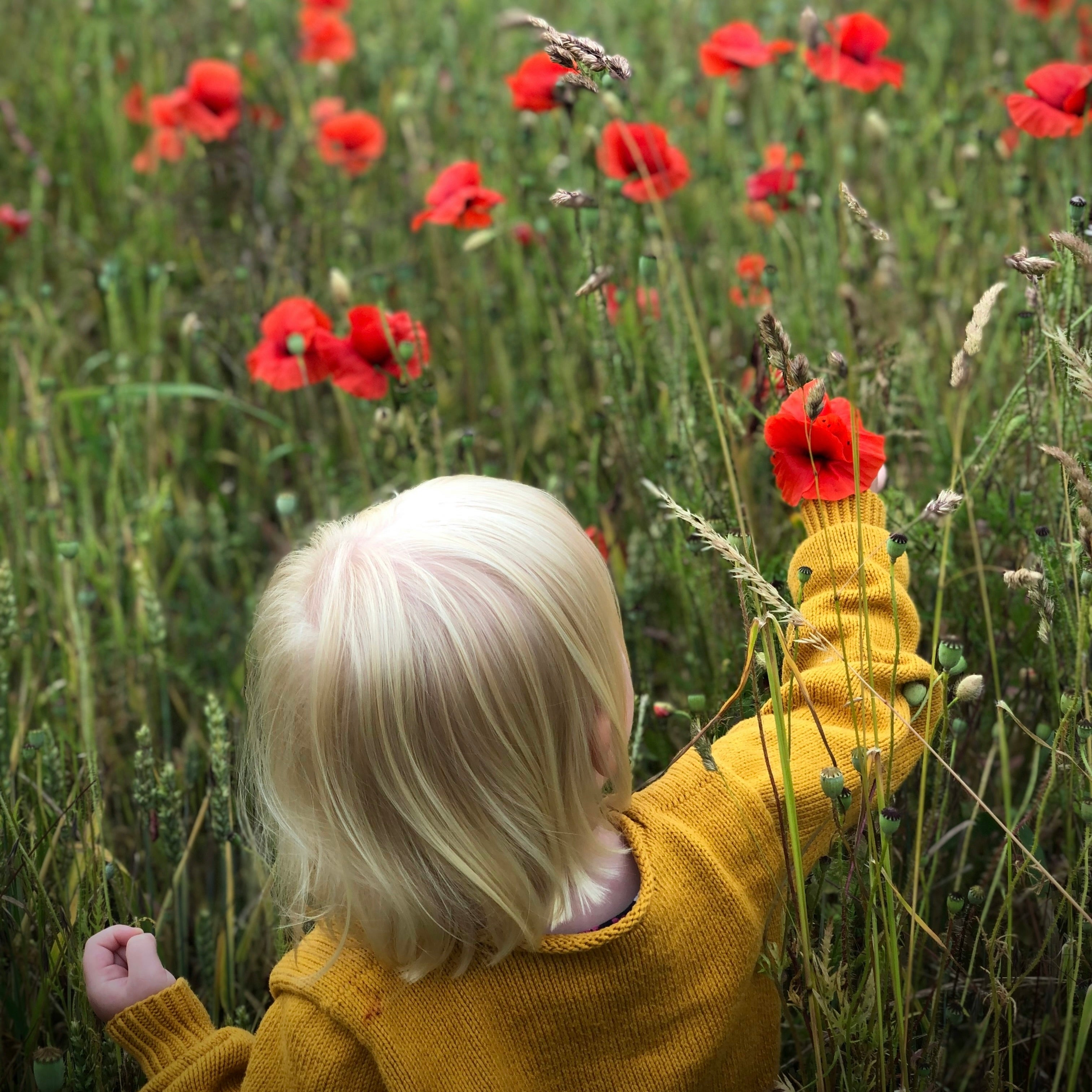 PRE-ORDER Denemarken familieavontuur met de camper